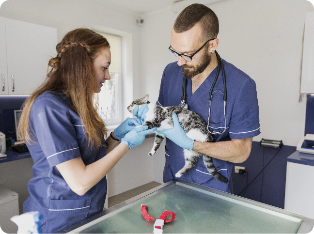 Parcerias que fortalecem o cuidado veterinário